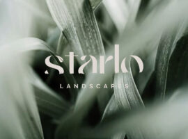 Starlo Landscapes